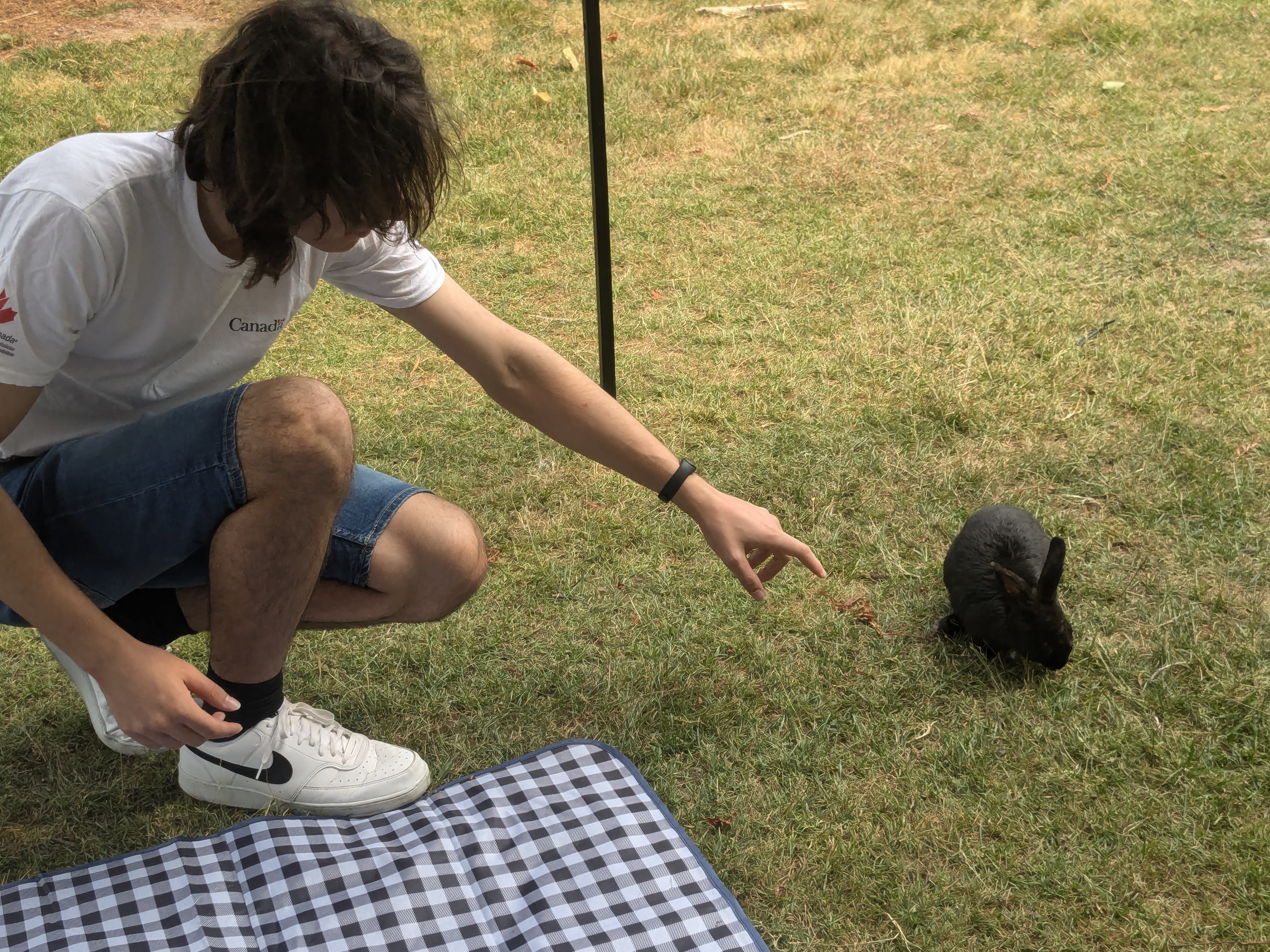 Panos trying to pet a rabbit